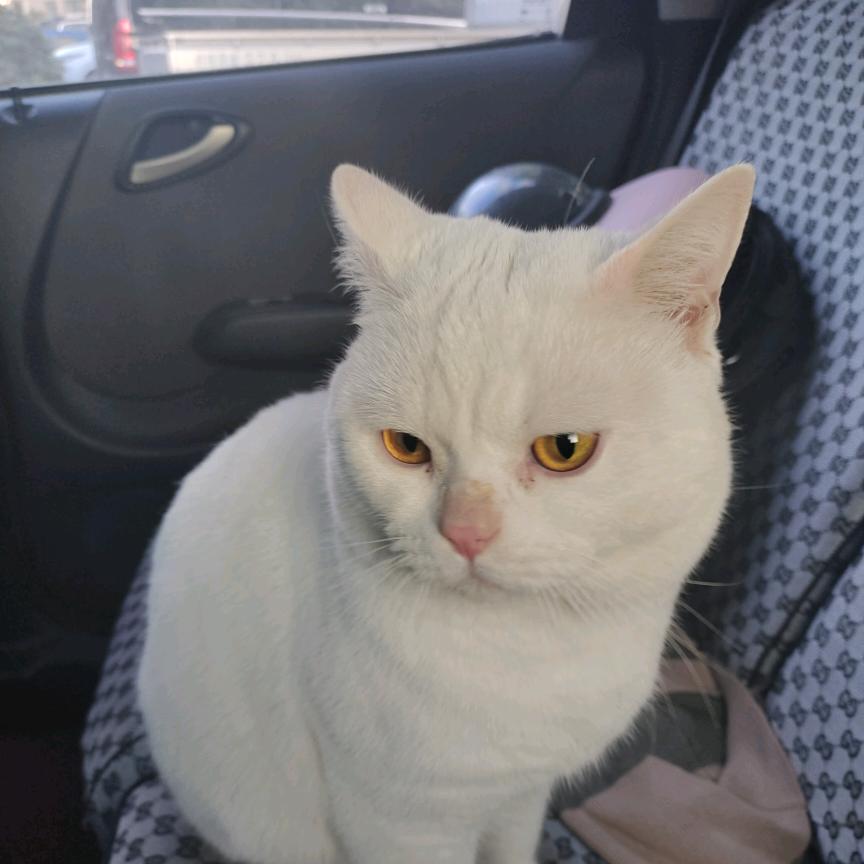 诸暨帅旧衣废品回收