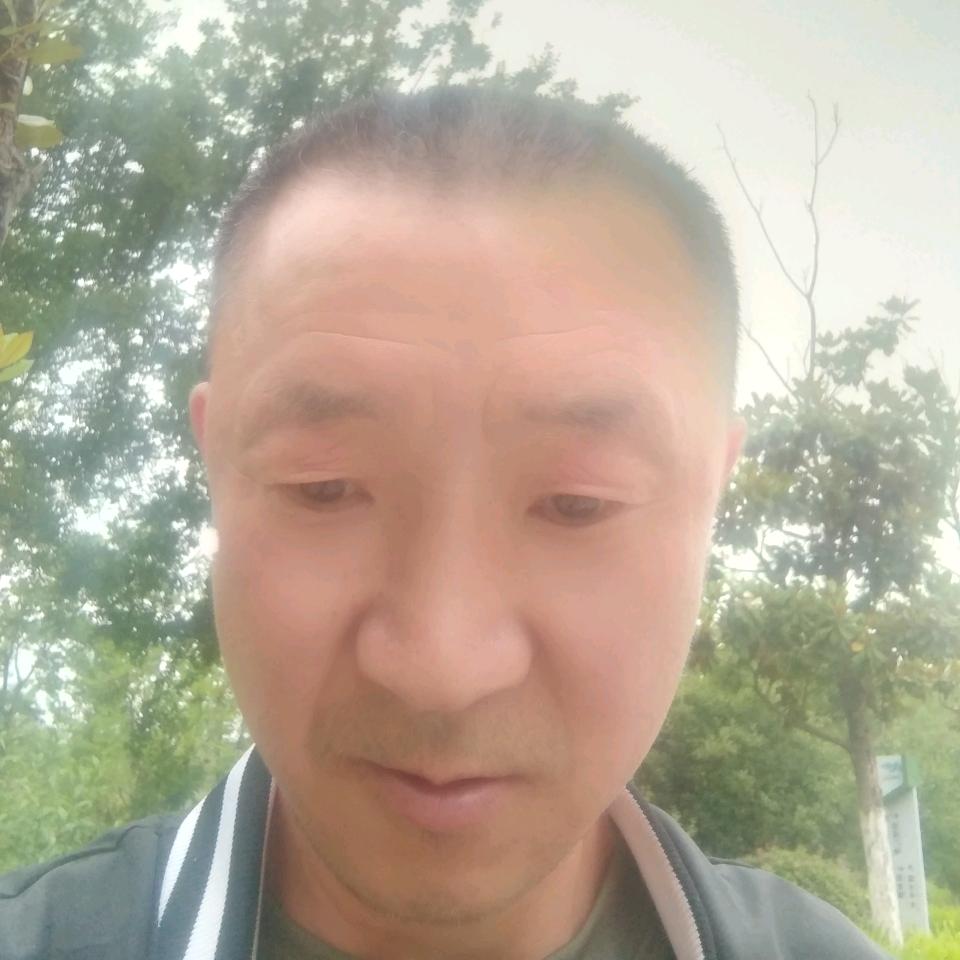 老贺