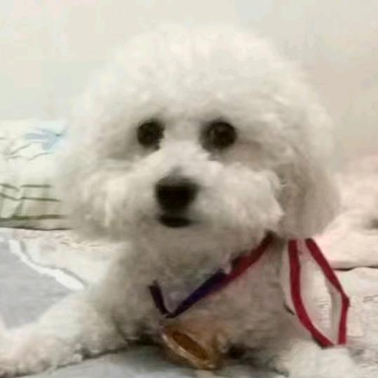 华✔子