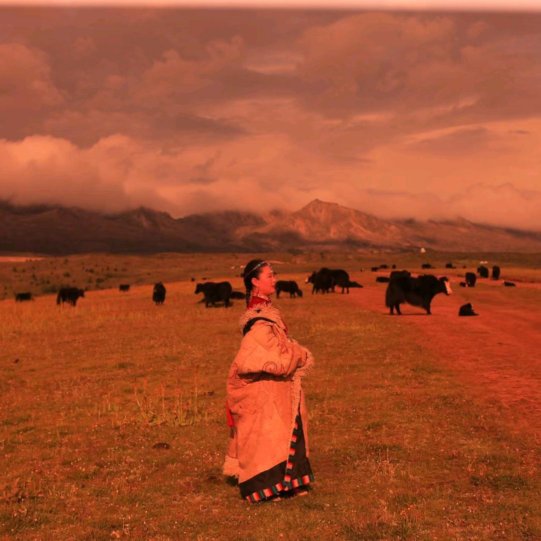 茈钕孒ゞ莈吢莈肺