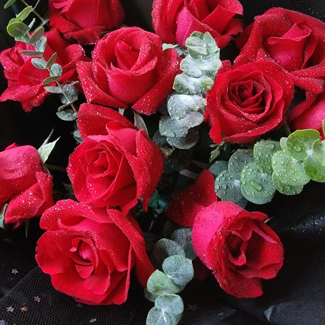 别说梅花没有泪