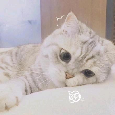 洐头像