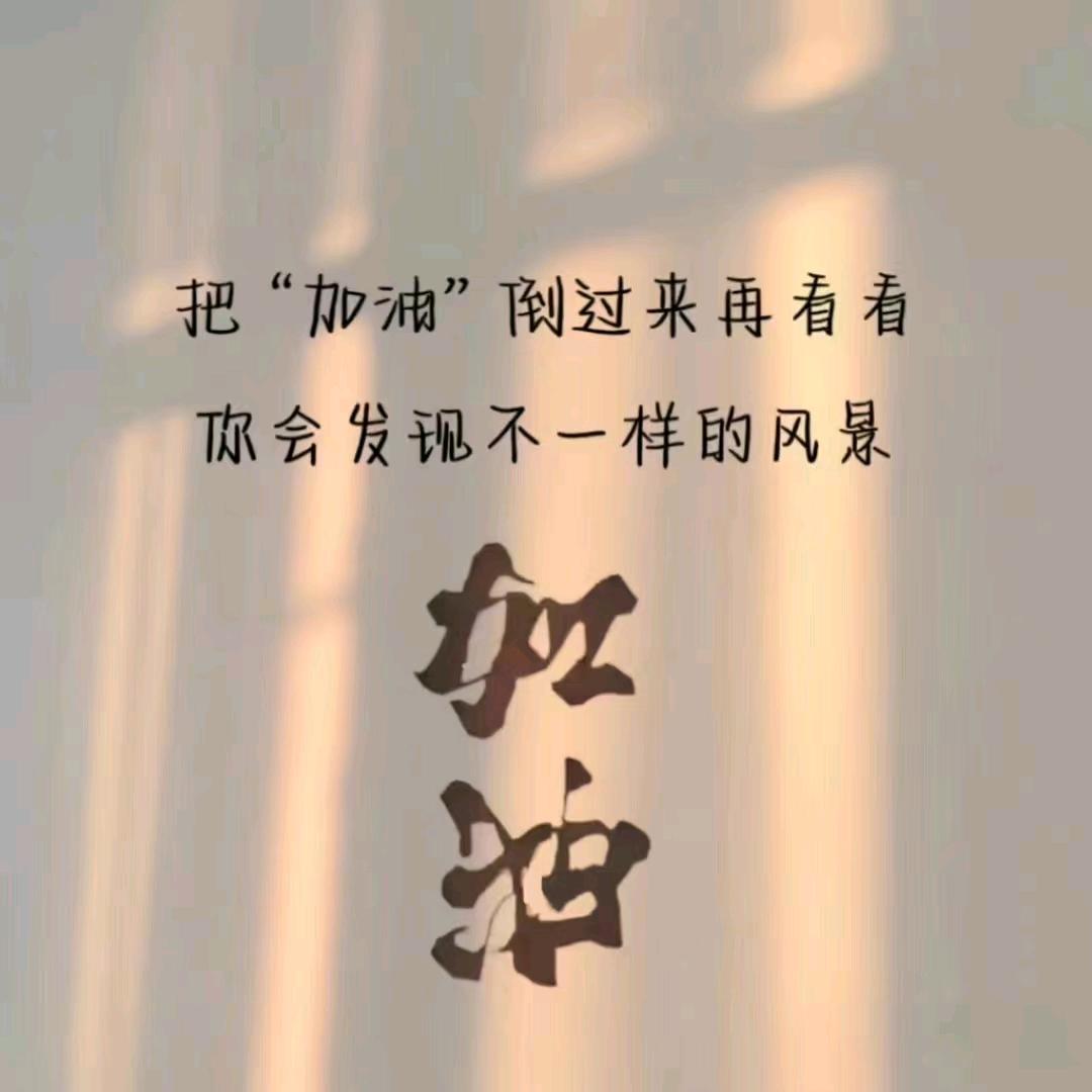 芍药头像