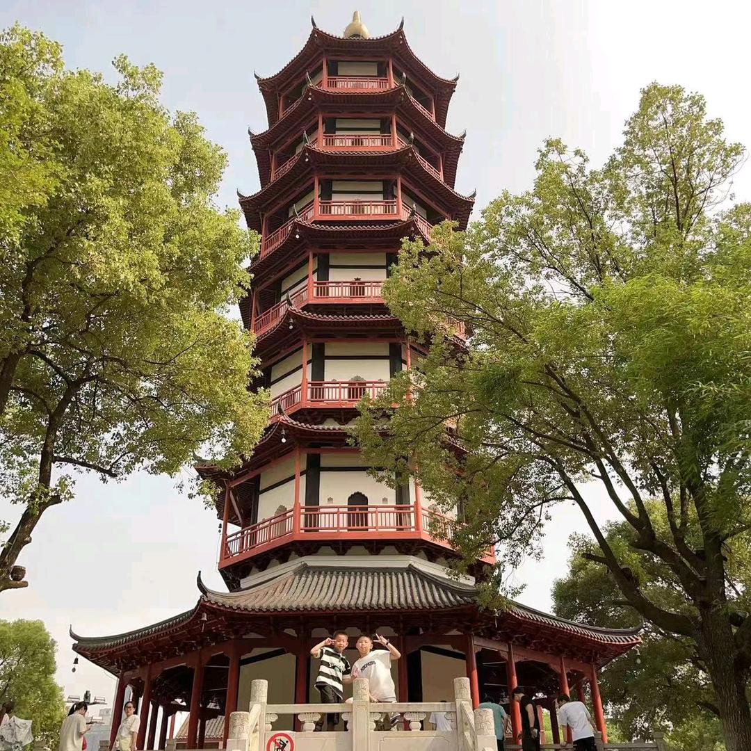 开心快乐（菊）