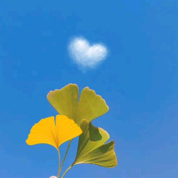 @新疆棉花批发定制