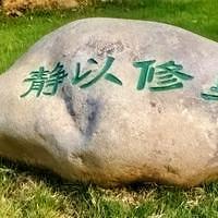 随缘随意随你