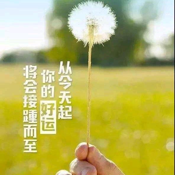 遇见你
