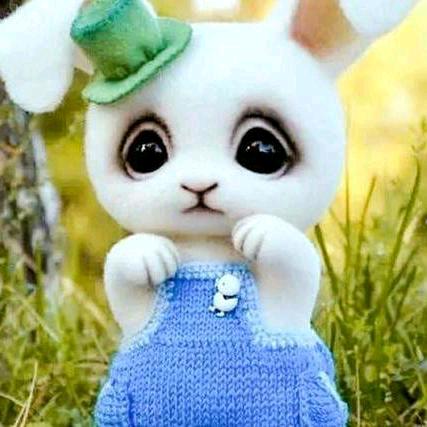 眉县徐香猕猴桃