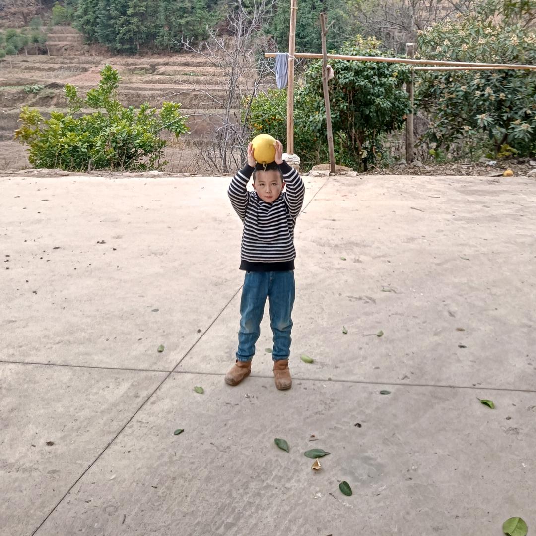 洪霆