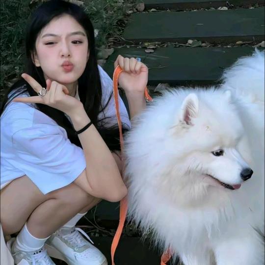 今天不吃螺蛳粉