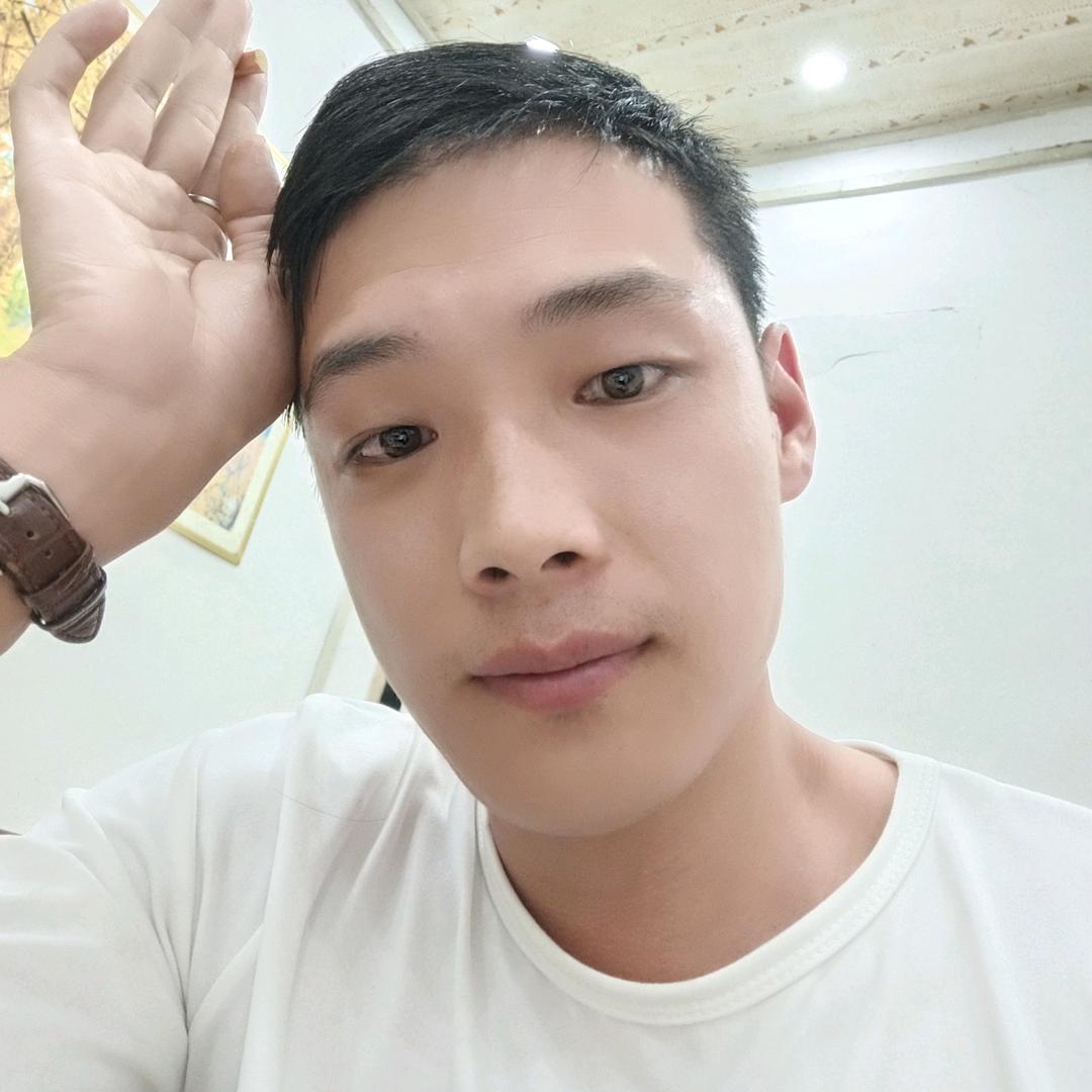 蚍蜉岂能撼树