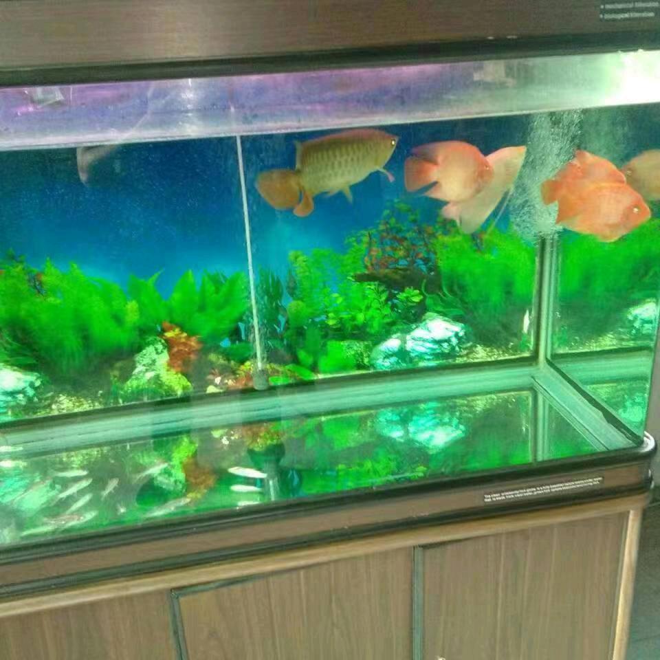 一路顺风