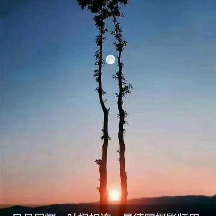 笑着面对每一天