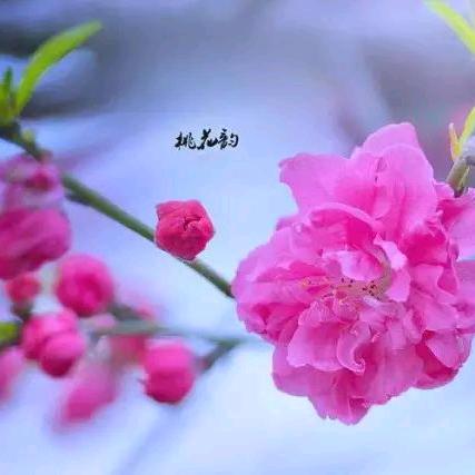 清晨的一抹光