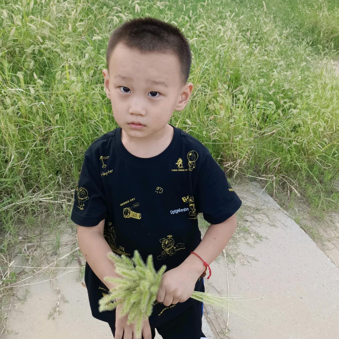 平淡无奇