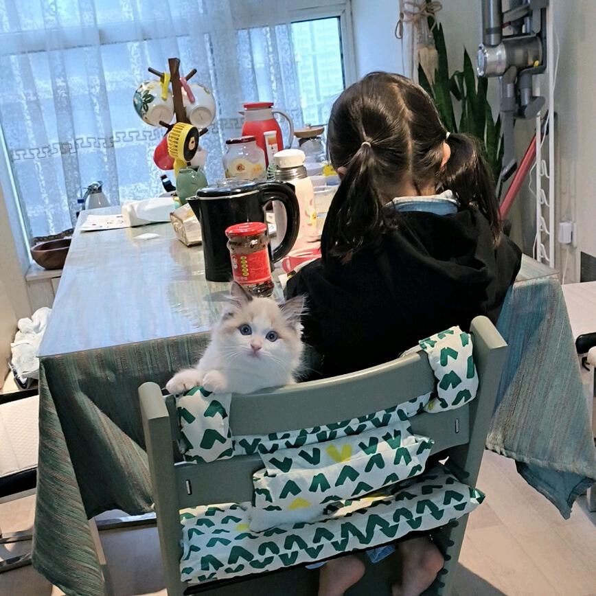 👑温柔的巨人🐩