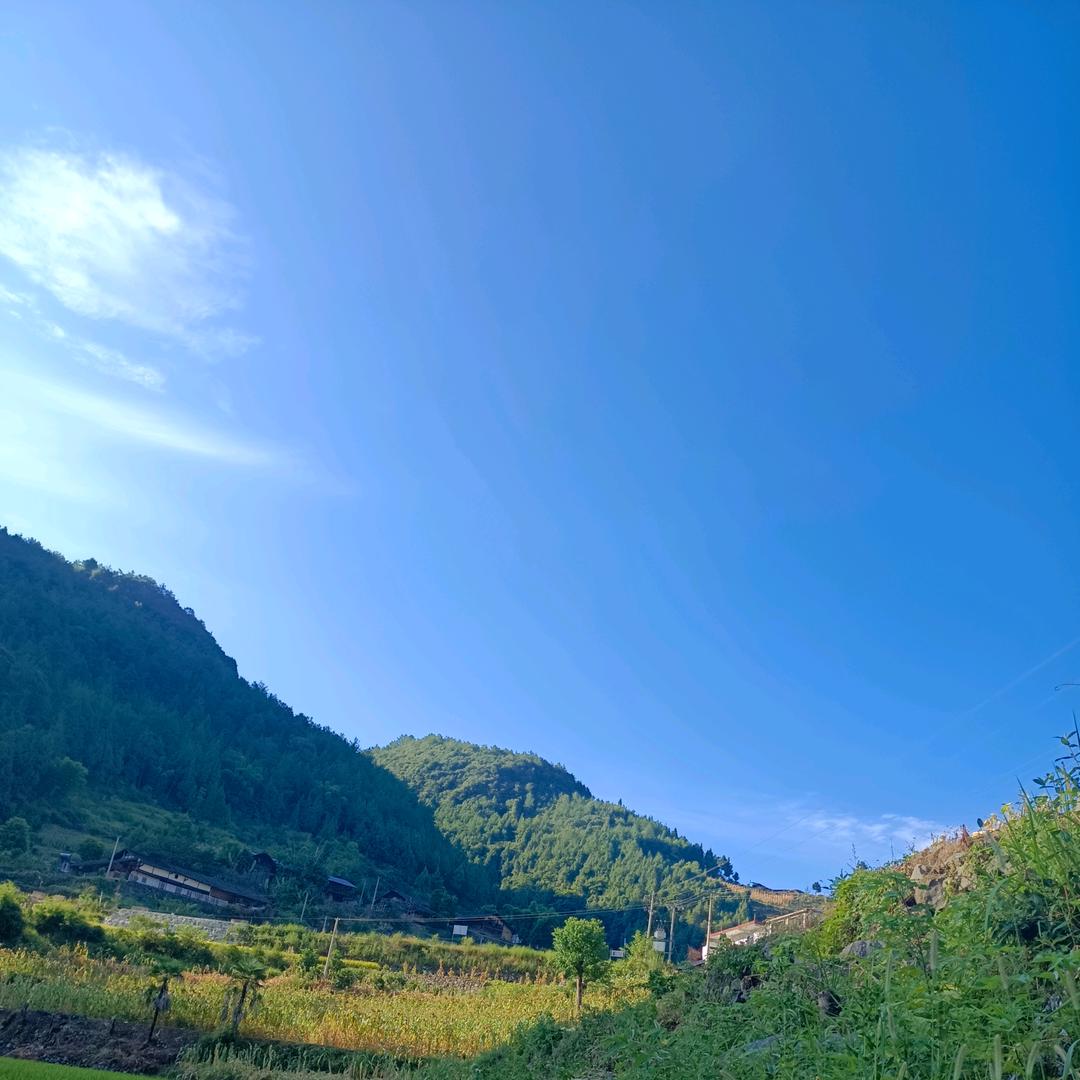 两个孙子的奶奶