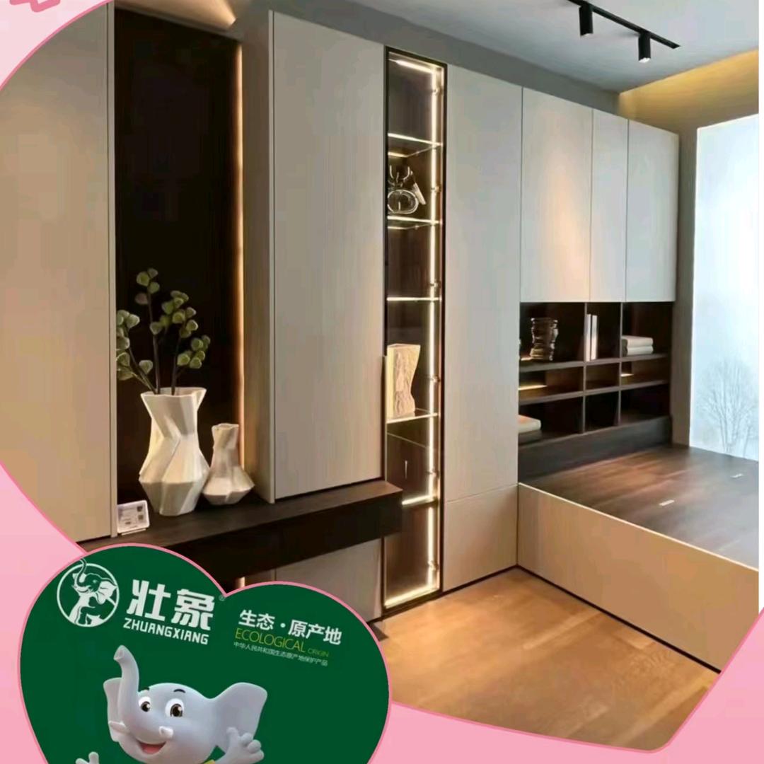 【壮象】全屋定制