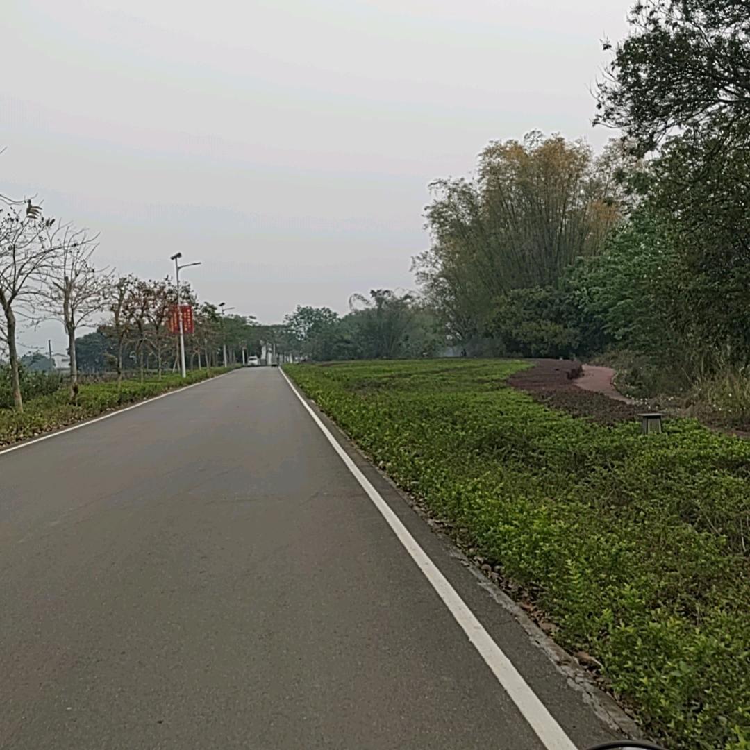 水中月