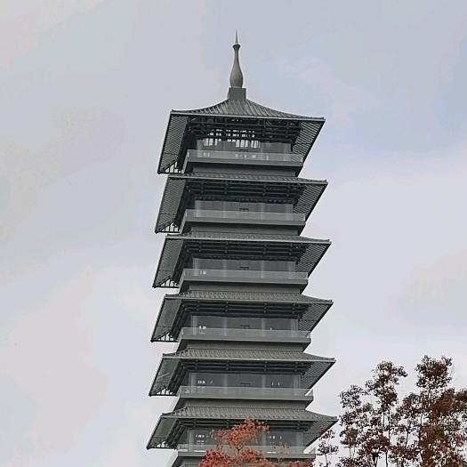 旺旺大礼包哈哈