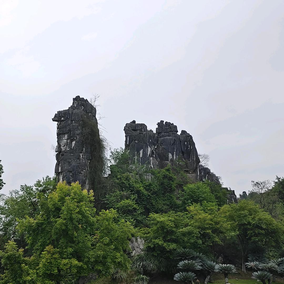 阳班长山货水果