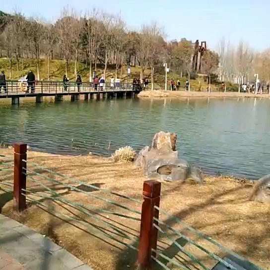 小王