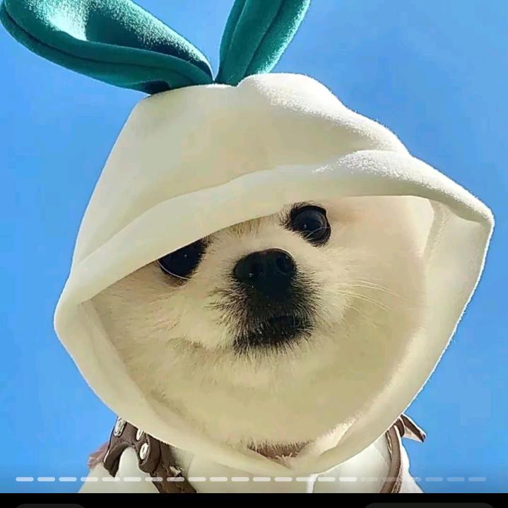 午夜歌声很凄凉