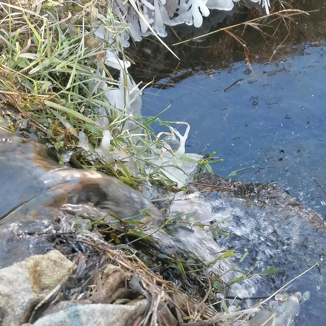 石上清泉
