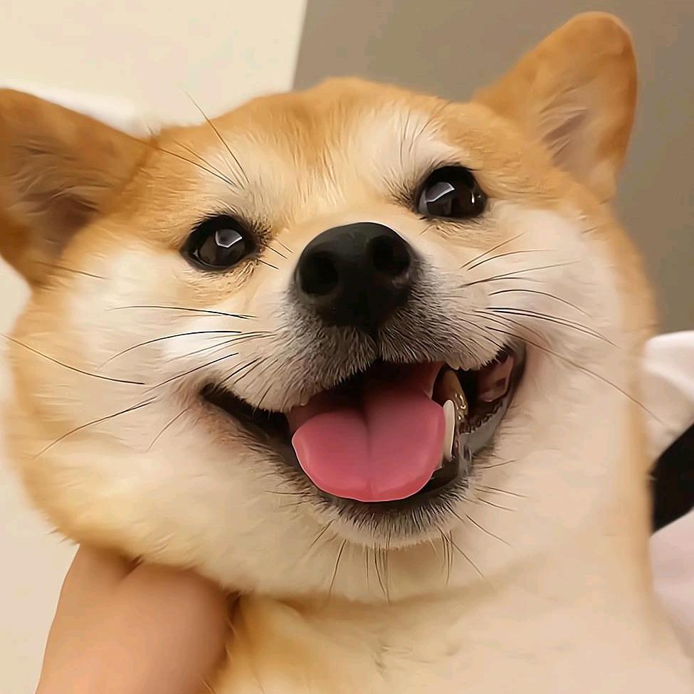 小嗷