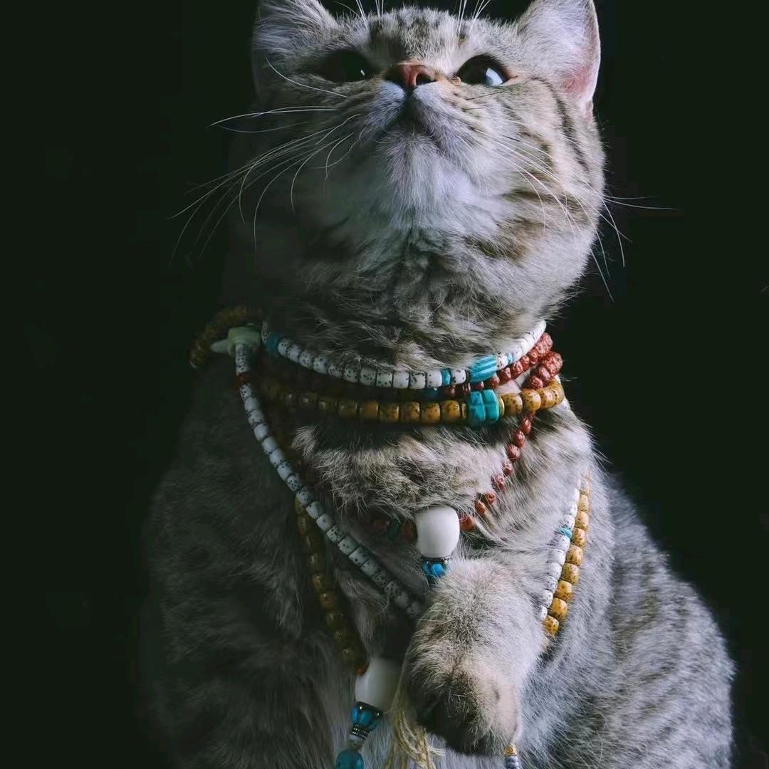 卡特文玩