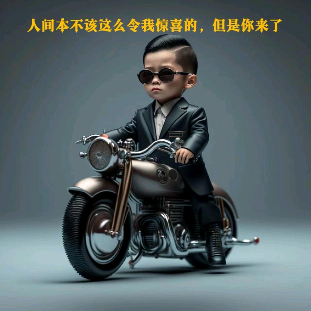 淘乐乐