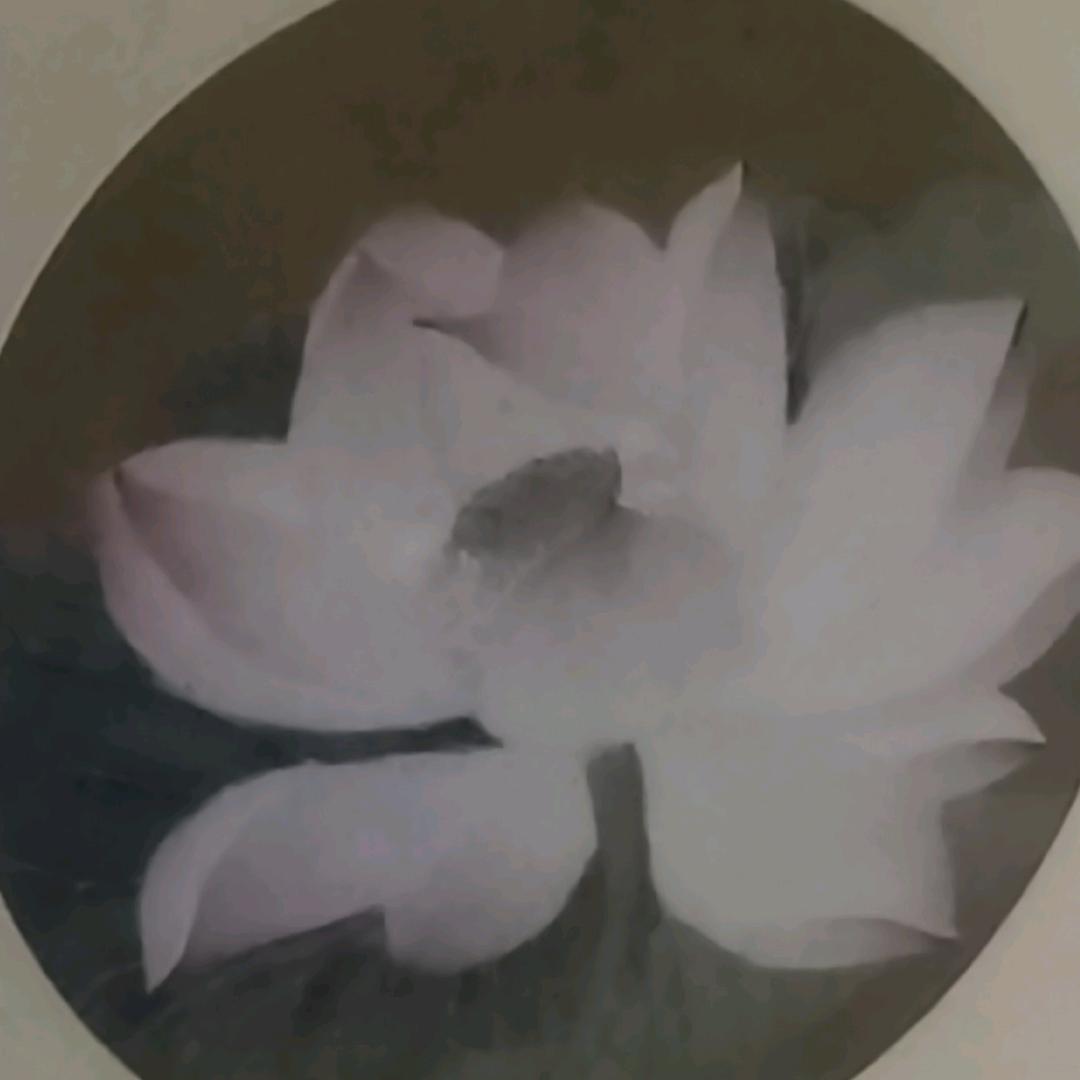 凉拌莲花