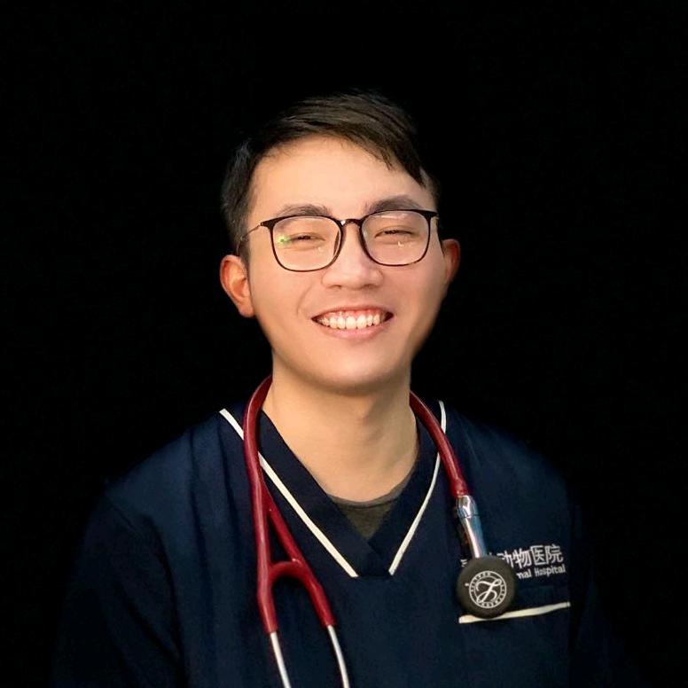 兽医小小康