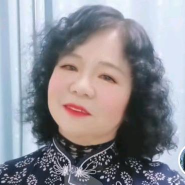 河南乐姐