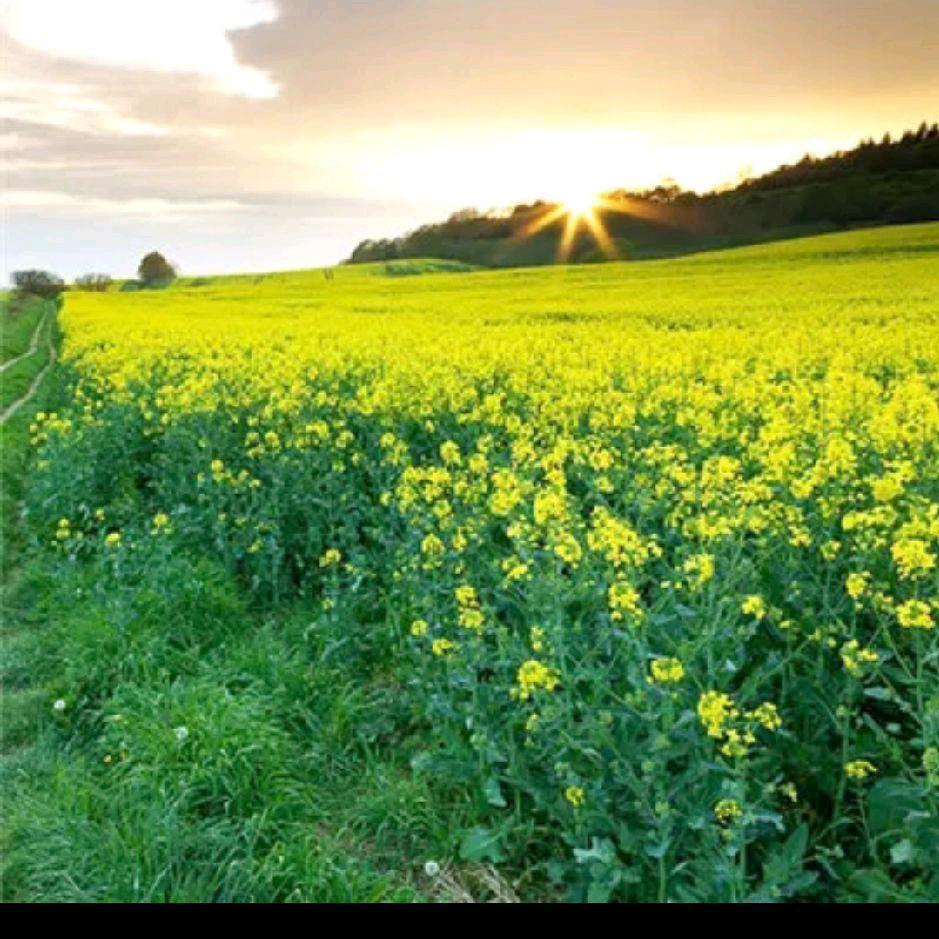 2075493632人间烟火