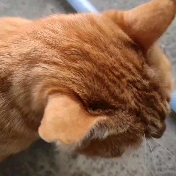 耀努力