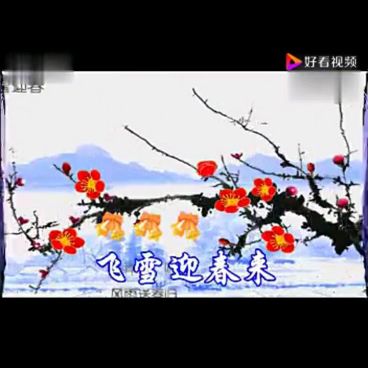 凤大姐