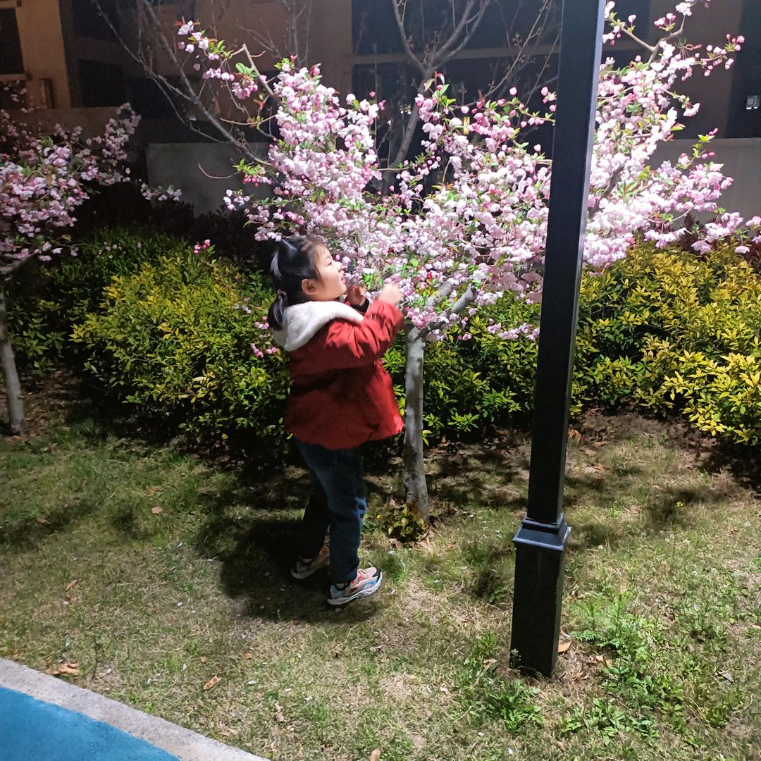 大步向前走