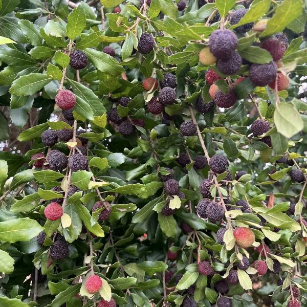 💦💦💦💦💦💦