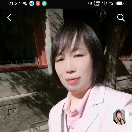 一片叶子