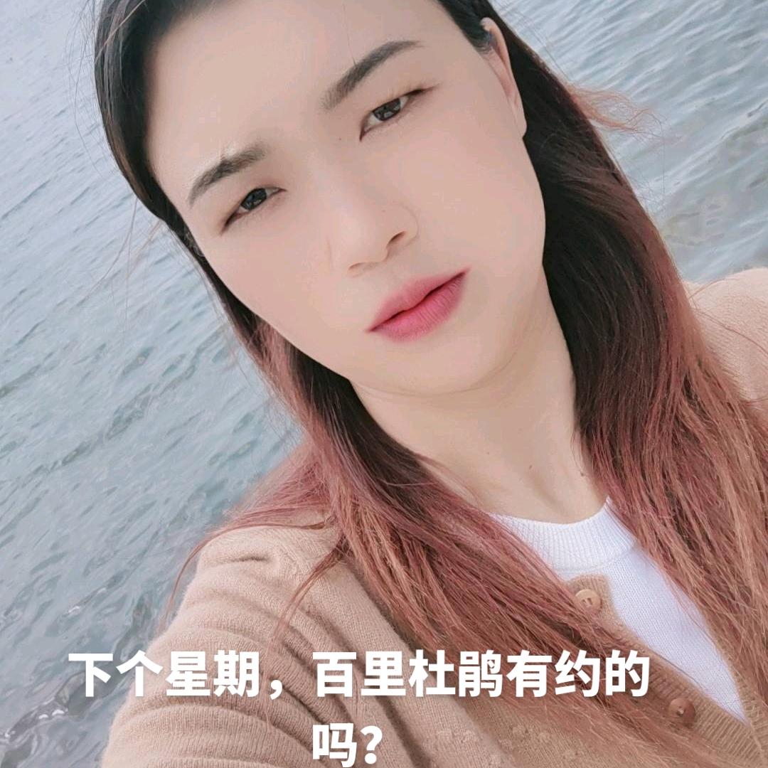 草海驾校，福兰招待所免费带学员报名，