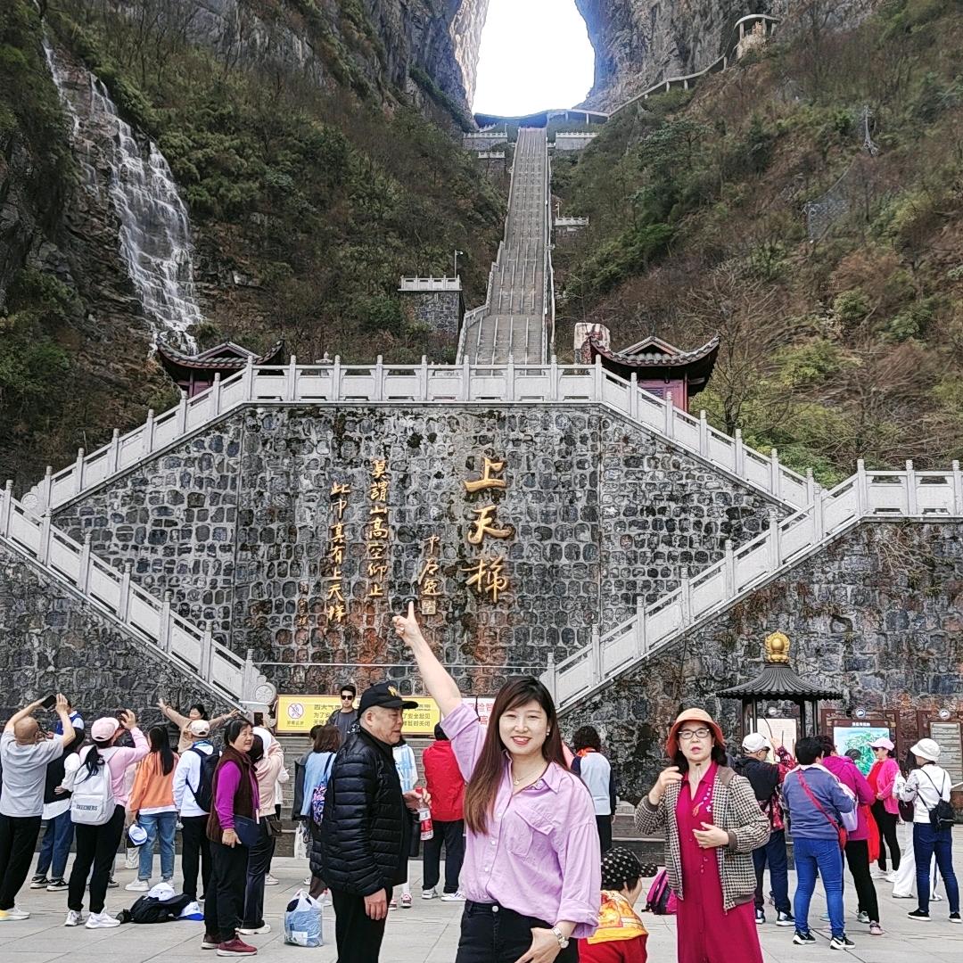 🌸兰兰🌸的天