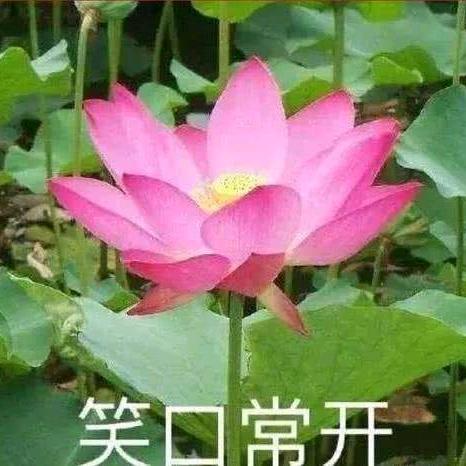 河北人在江苏南京