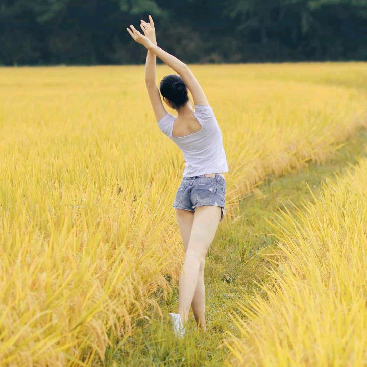 玉林弟八角