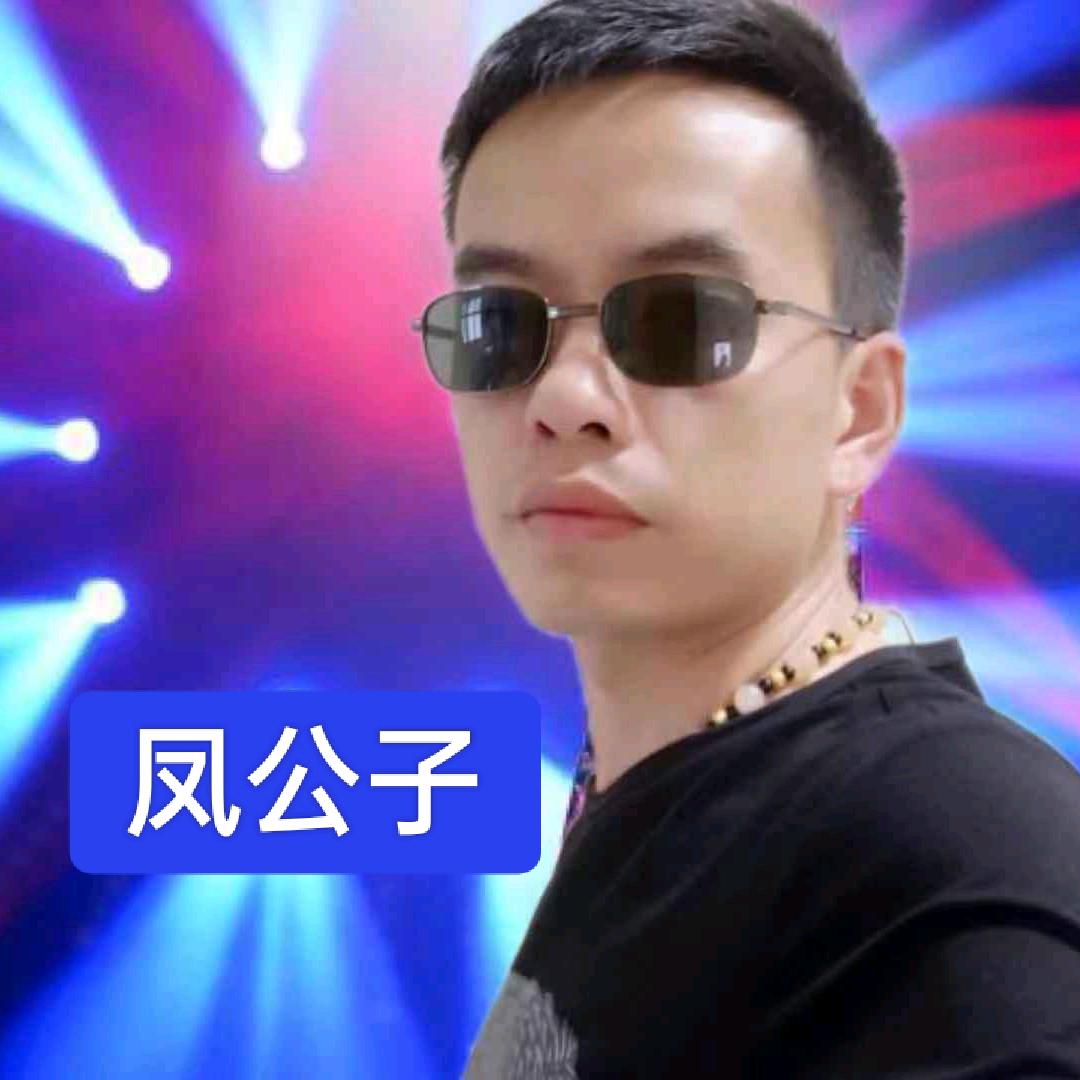 凤公子