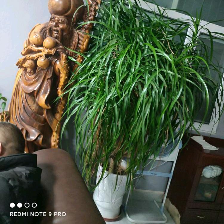 余生快乐