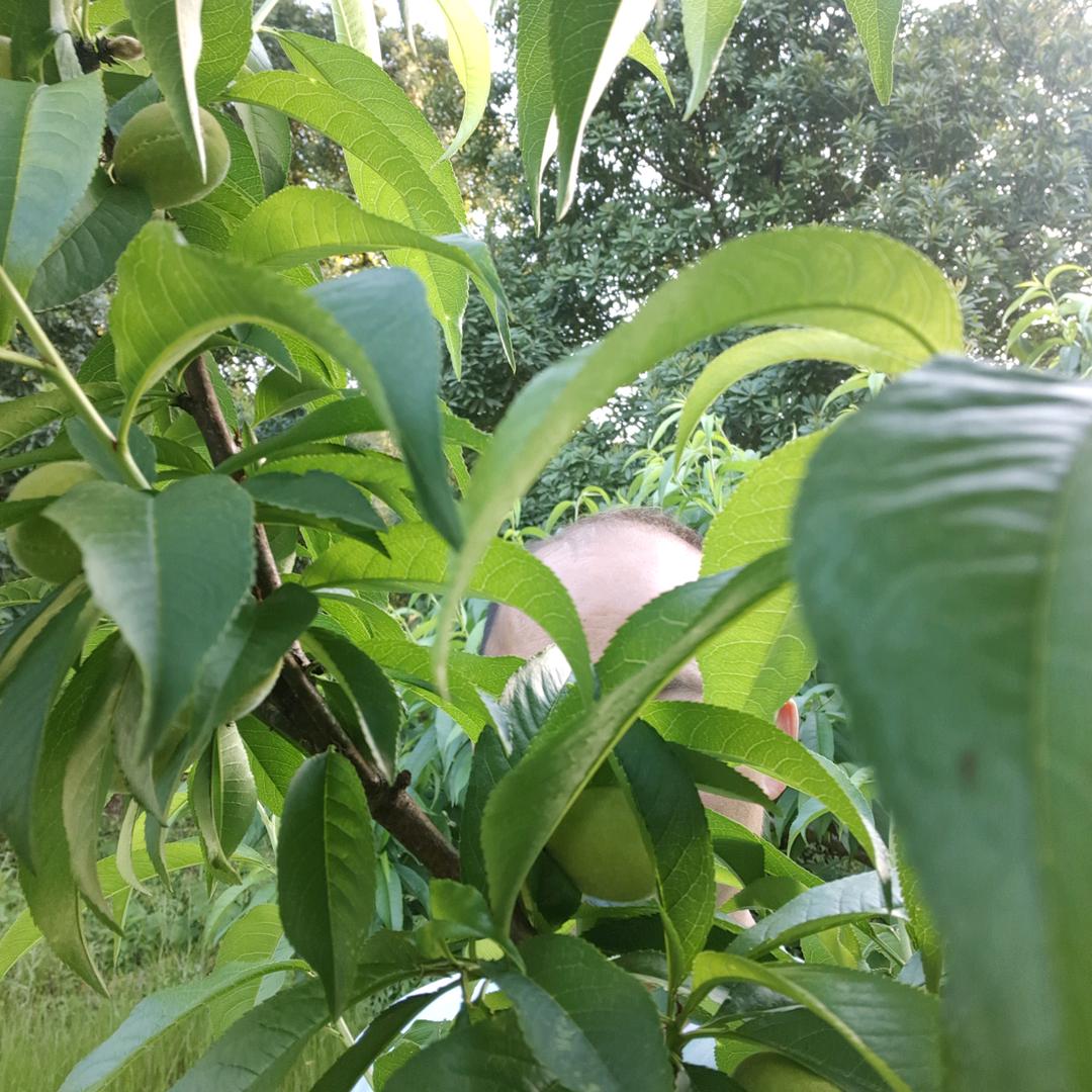 用户6411161121947