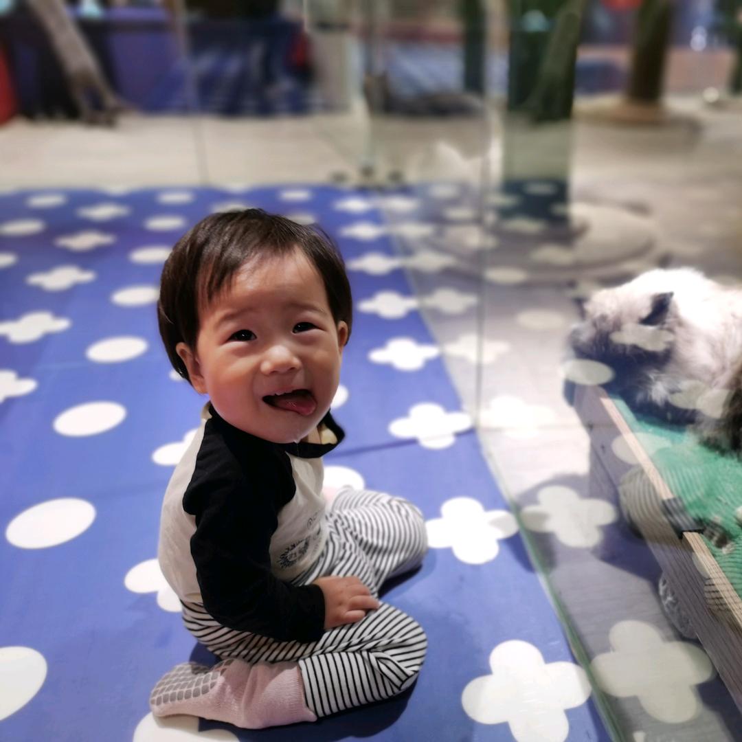 超级小嘟嘟👧