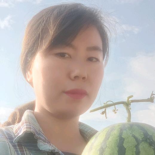 豫南小芳  美都西瓜种植