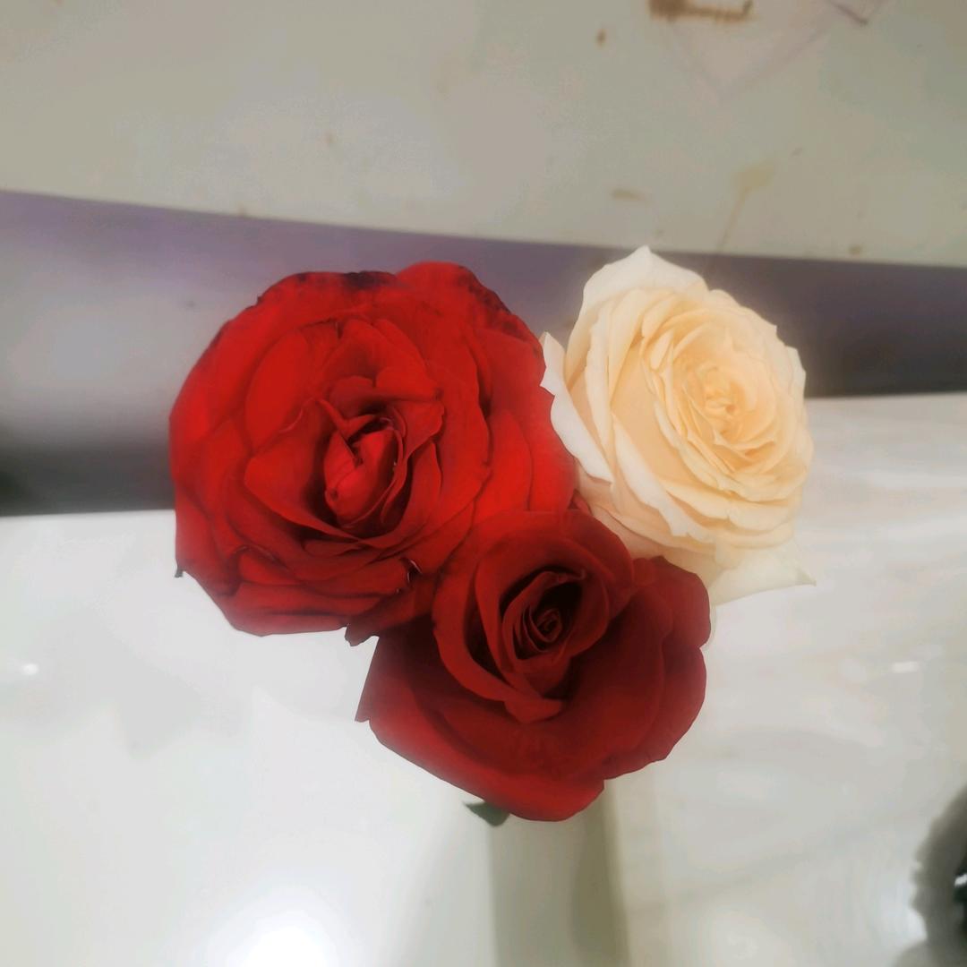 ୧⍤🎀༉仲ૢ᭄୧⍤⃝🎀夏༉ૢ᭄🍒